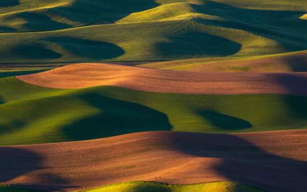 grassland nature landscape HD Desktop Wallpaper | Background Image