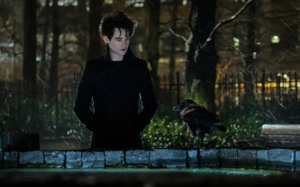 HD PC desktop wallpaper from the TV show The Sandman — a brooding figure in a dark coat stands by a stone wall at night with a raven and blurred city lights behind.