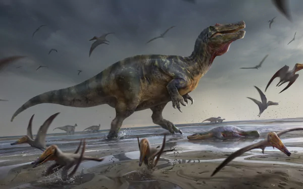 Animal dinosaur HD Desktop Wallpaper | Background Image