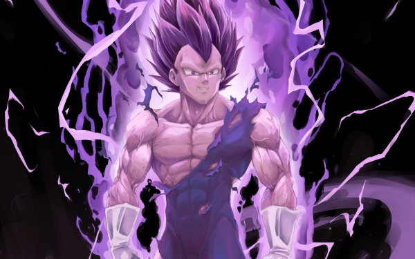 Anime Dragon Ball Super Dragon Ball Vegeta Ultra Ego HD Wallpaper | Background Image