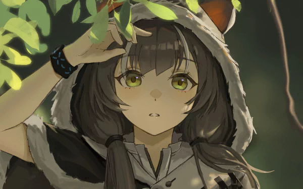 Honeyberry (Arknights) video game Arknights HD Desktop Wallpaper | Background Image