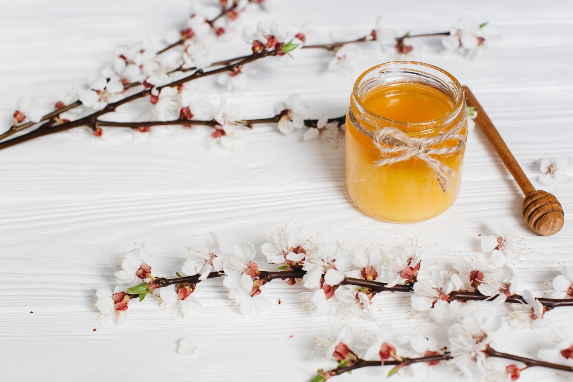 Download Food Honey HD Wallpaper