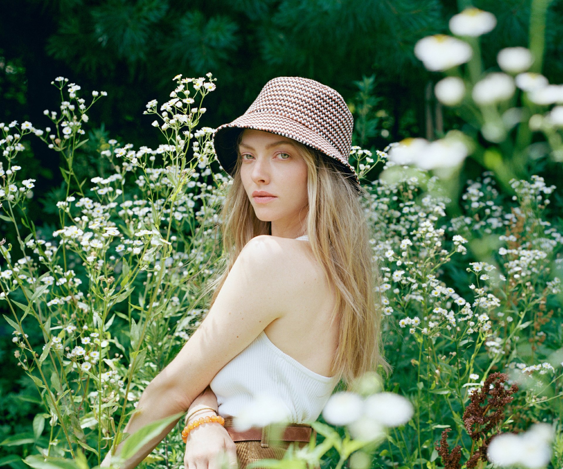 Amanda Seyfried HD Wallpaper.
