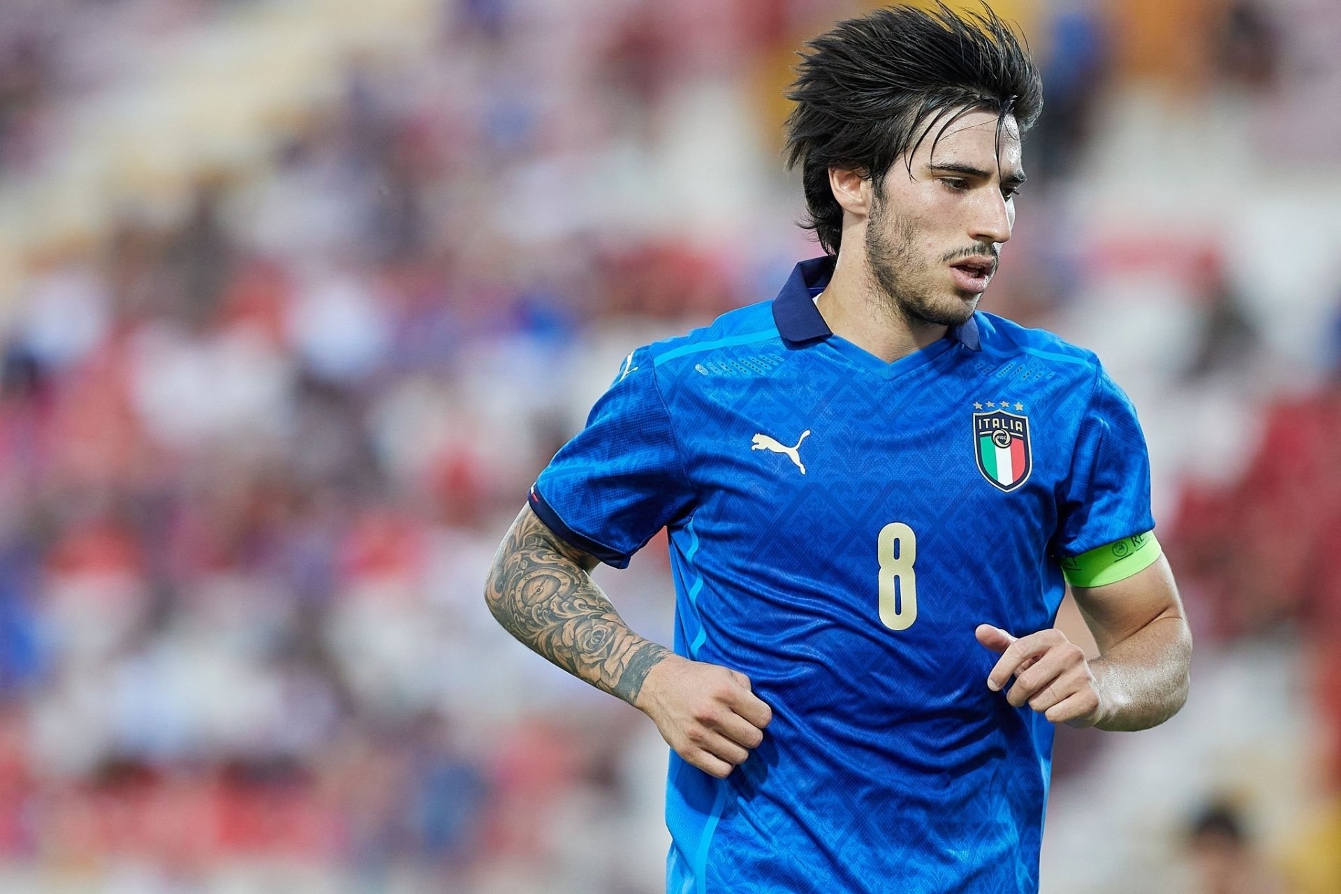 Azzurri HD Wallpaper: Sandro Tonali