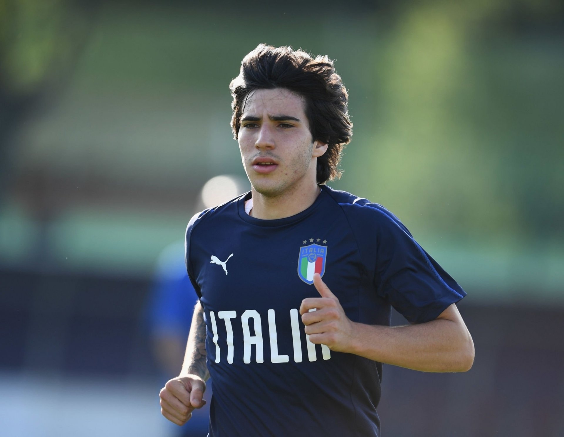 Azzurri Glory: Sandro Tonali HD Wallpaper