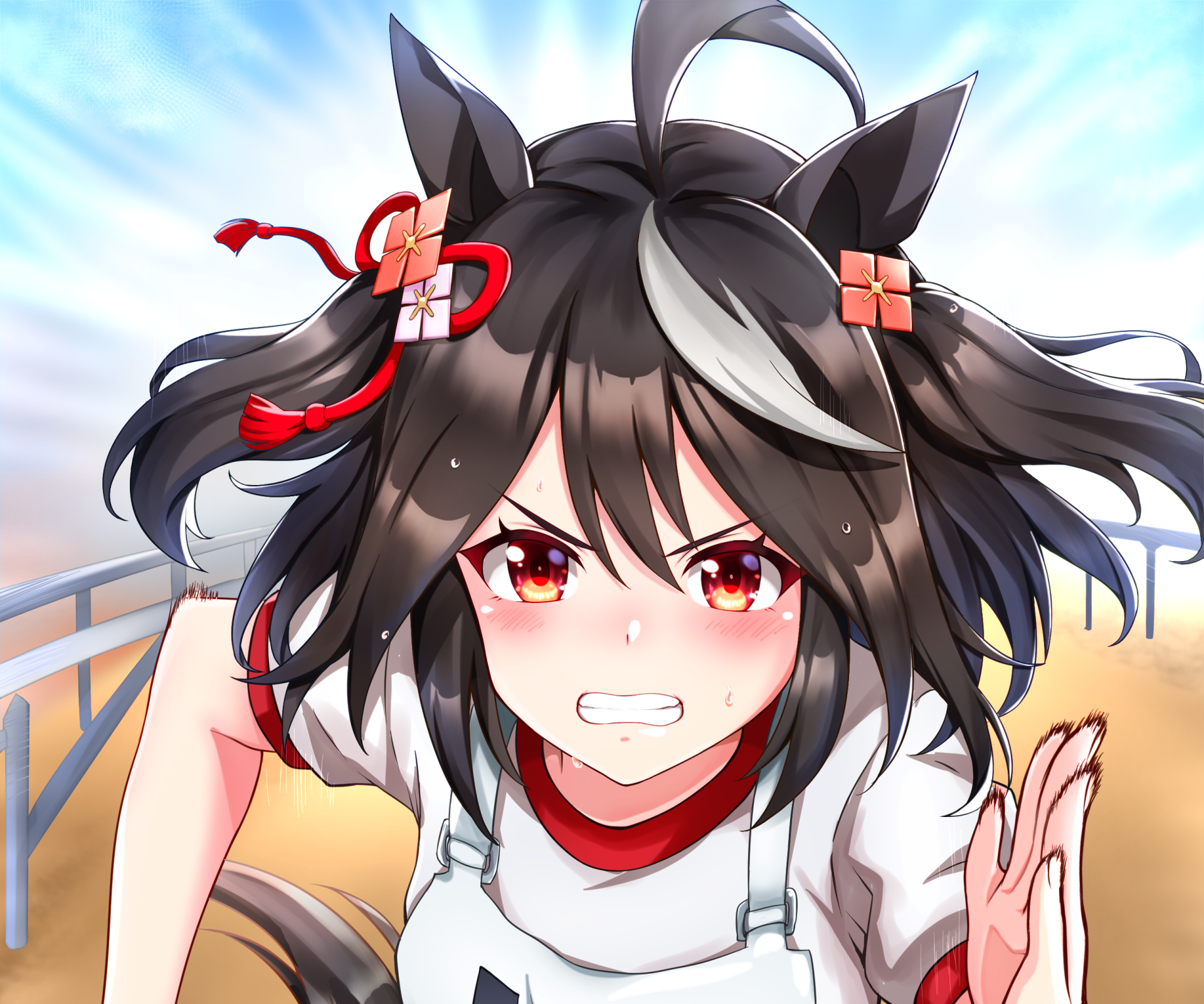 Download Kitasan Black Anime Uma Musume: Pretty Derby HD Wallpaper