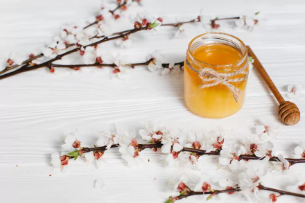 food honey HD Desktop Wallpaper | Background Image