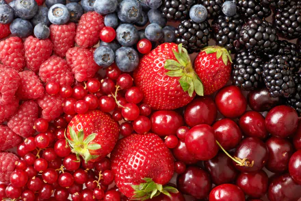 food berry HD Desktop Wallpaper | Background Image