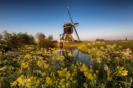 Netherlands man made windmill HD Desktop Wallpaper | Background Image