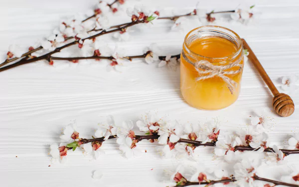 food honey HD Desktop Wallpaper | Background Image