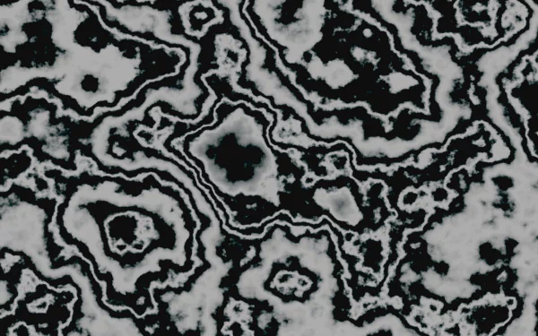  Infection