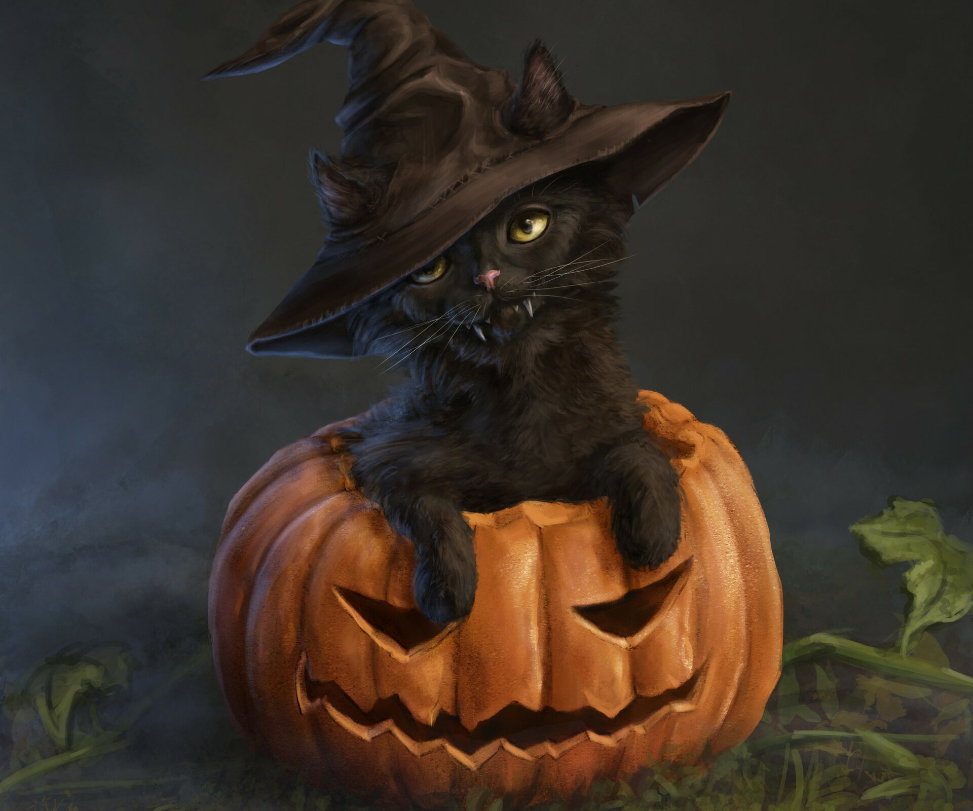 Download Jacko'lantern Kitten Holiday Halloween HD Wallpaper by