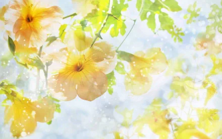 pastel nature artistic HD Desktop Wallpaper | Background Image