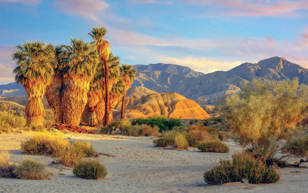  USA - California - Anza-Borrego Desert State Park