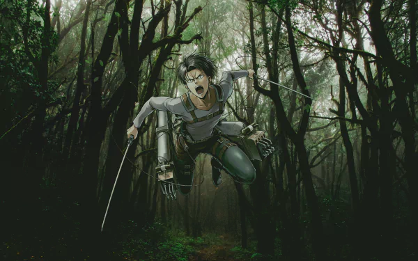  Levi Ackerman