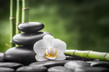 zen nature stone HD Desktop Wallpaper | Background Image