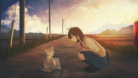 Anime girl crouches on a sunlit rural road to greet a cat; 4K Ultra HD PC desktop wallpaper and background, warm sunset tones with telephone poles and distant mountains.