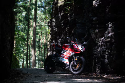 vehicle Ducati 899 Panigale HD Desktop Wallpaper | Background Image