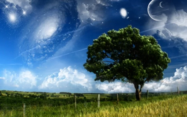 HD PC desktop wallpaper: lone tree on a grassy hill beneath a surreal planet-filled sky, galaxies and moons forming a dreamy nature world.