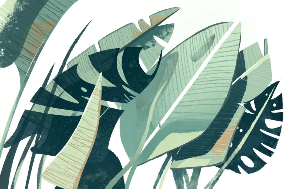 HD wallpaper featuring stylized houseplant leaves for a desktop background.