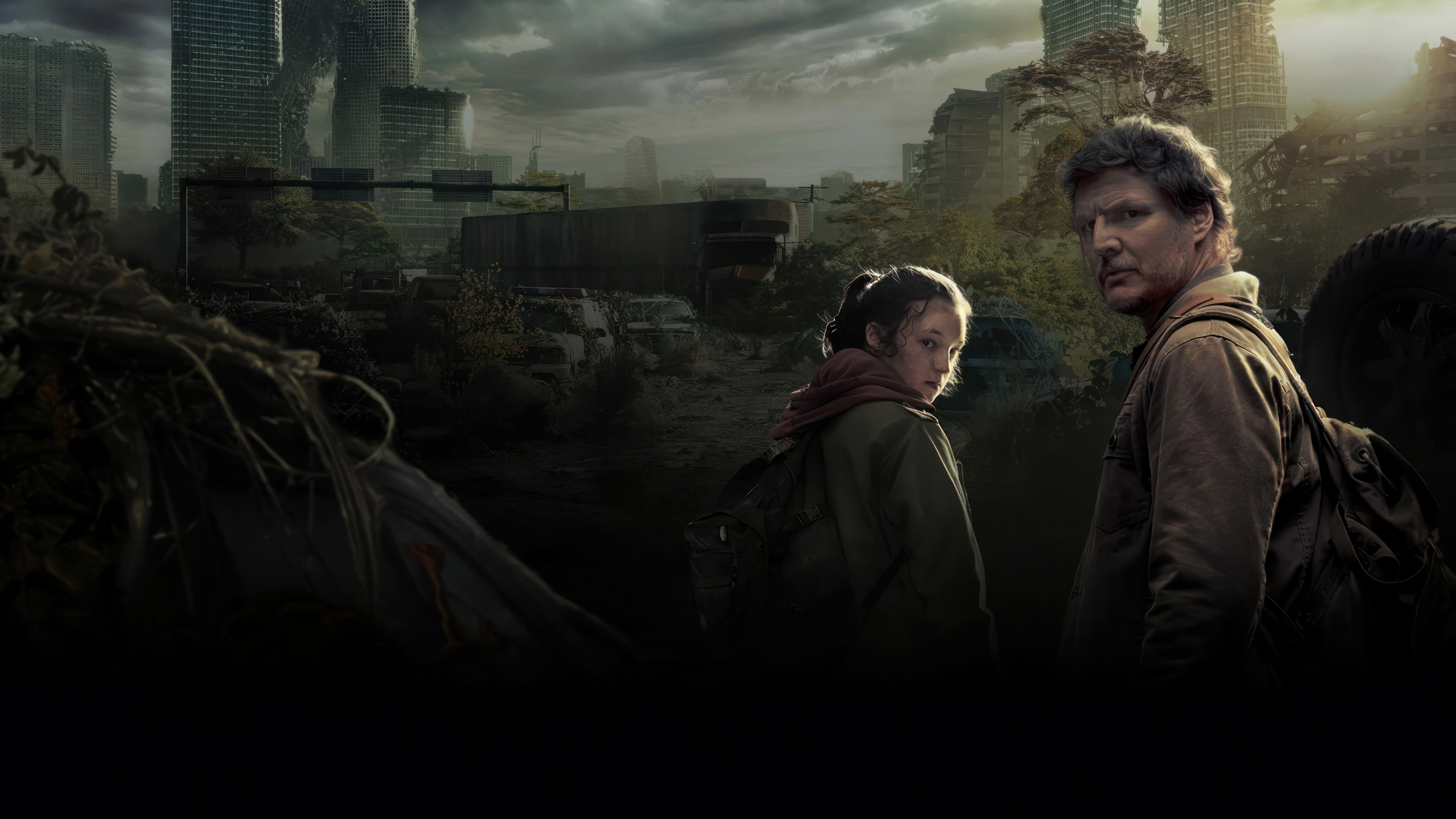 TV Show The Last of Us HD Wallpaper