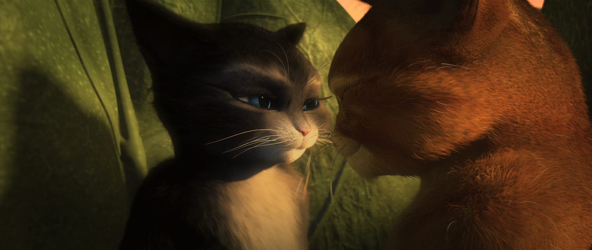 Download Cat Movie Puss In Boots HD Wallpaper