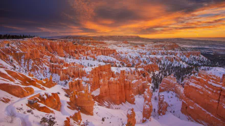  Hoodoos at Bryce Canyon National Park, Utah