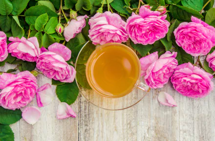 food tea HD Desktop Wallpaper | Background Image