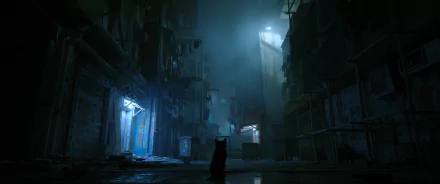 Silhouetted Stray cat in a neon, rain-soaked alley from the video game Stray — 2K Quad HD PC desktop wallpaper and background.