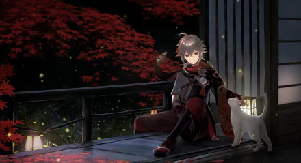 4K Ultra HD wallpaper featuring Kaedehara Kazuha from Genshin Impact, sitting on a balcony at night with a cat beside him and glowing fireflies around.