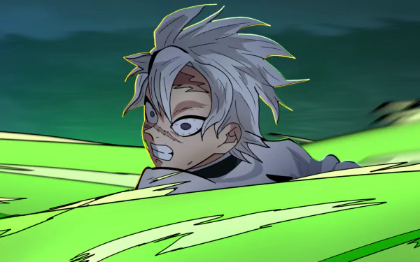  Sanemi Wind Breathing