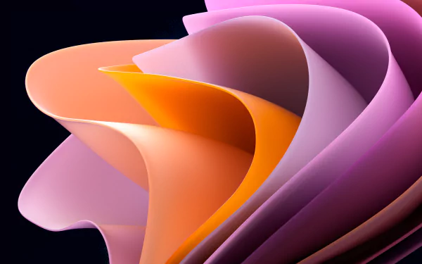  Delicacy and Contrast