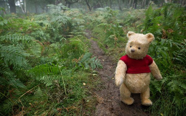 Movie Christopher Robin Winnie the Pooh HD Wallpaper | Background Image