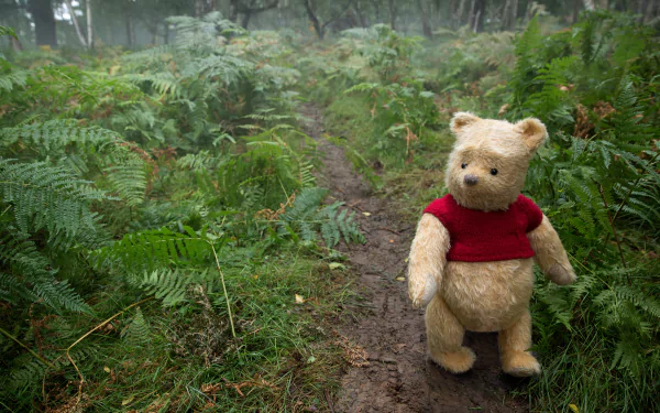 Winnie the Pooh from the movie Christopher Robin stands on a muddy forest path among ferns wearing his red shirt, 5K Ultra HD PC desktop wallpaper/background.