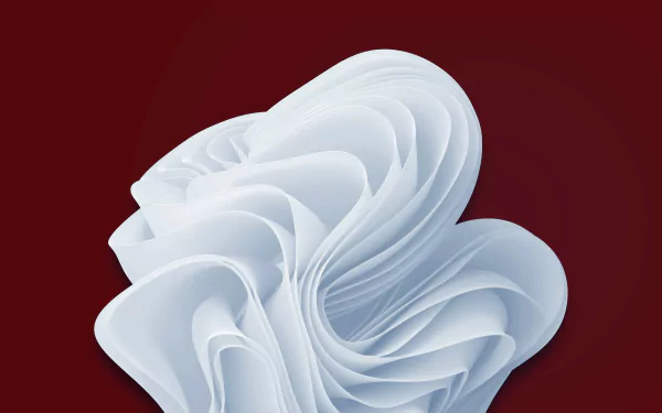  Windows 11 - Cranberry White Bloom by Michael Gillett