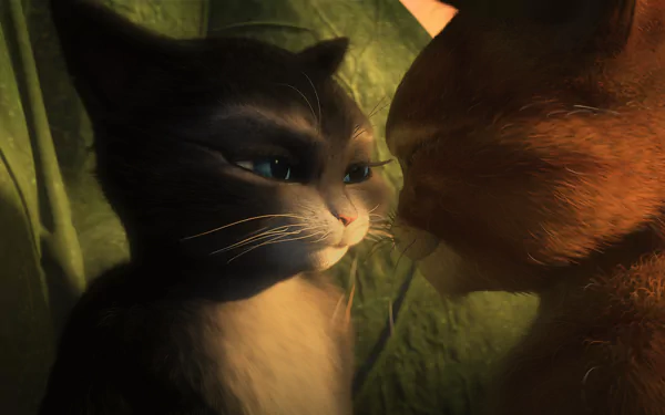 cat movie Puss in Boots HD Desktop Wallpaper | Background Image