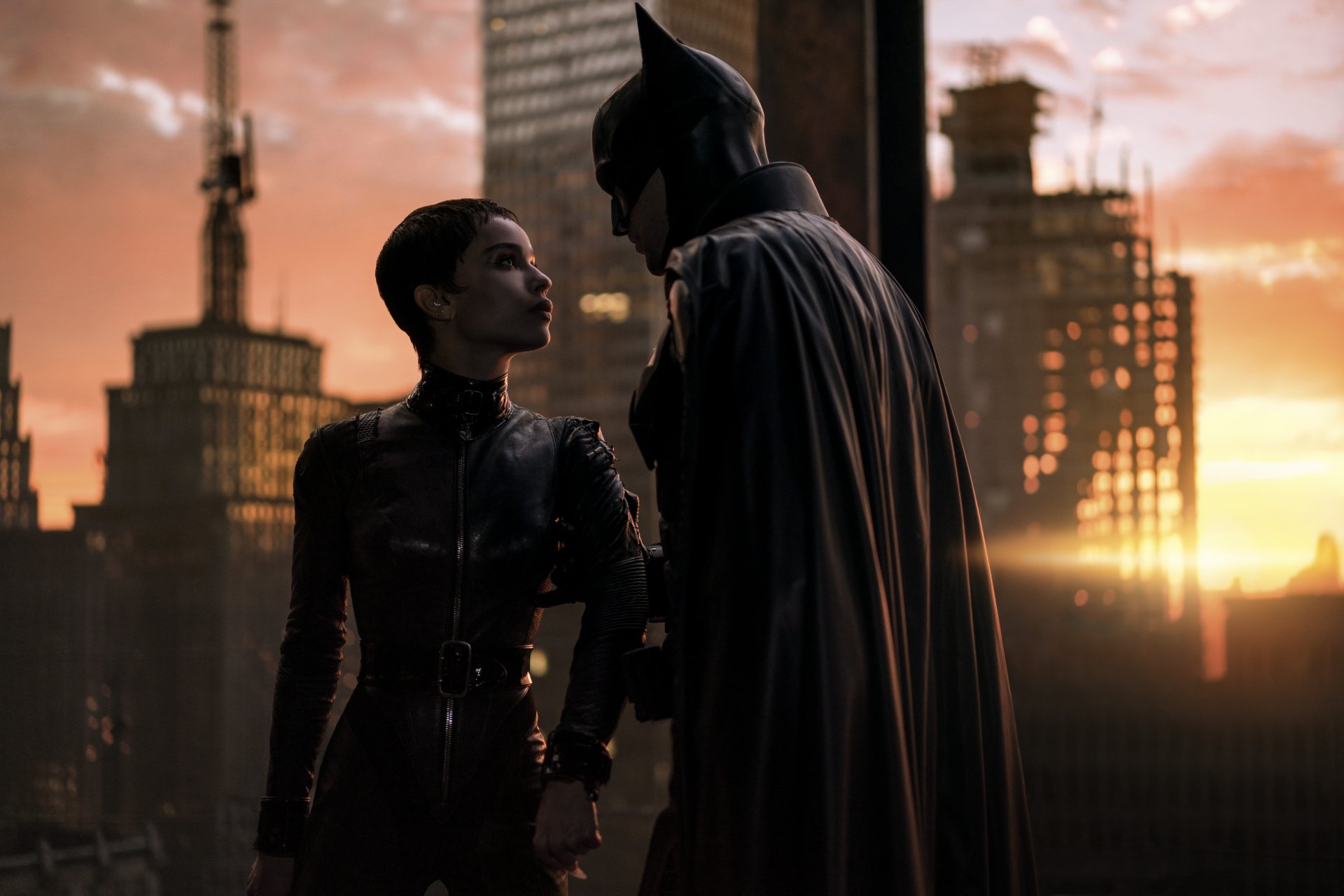 Download Sunlight Catwoman Batsuit 4k Ultra HD Wallpaper