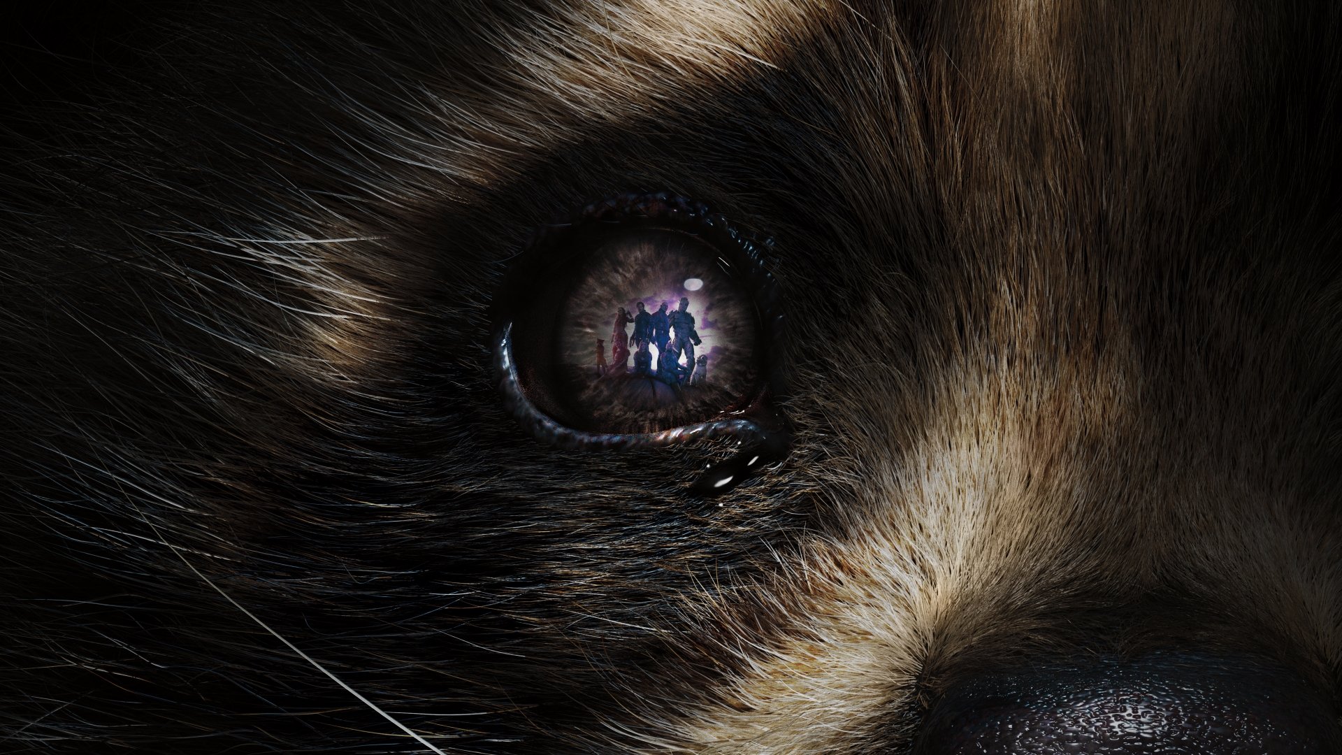 Download Movie Guardians Of The Galaxy Vol. 3 8k Ultra HD Wallpaper