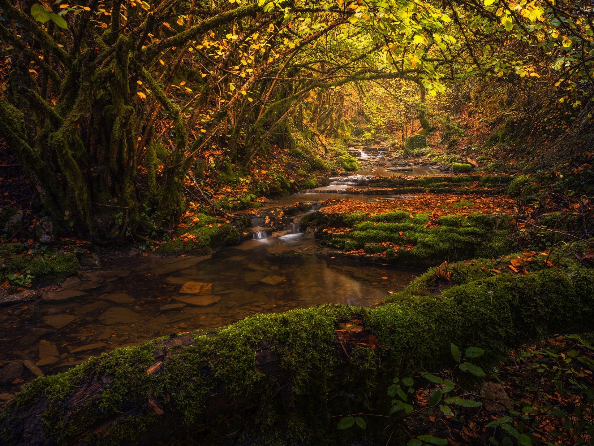 Download Nature Stream HD Wallpaper