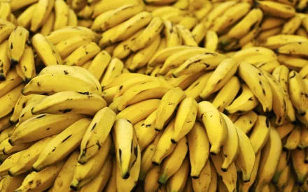 food banana HD Desktop Wallpaper | Background Image