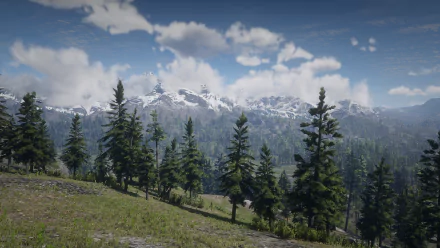 HD PC desktop wallpaper from the video game Red Dead Redemption 2: a grassy slope dotted with pine trees, overlooking snow-capped mountains beneath a blue sky with scattered clouds.