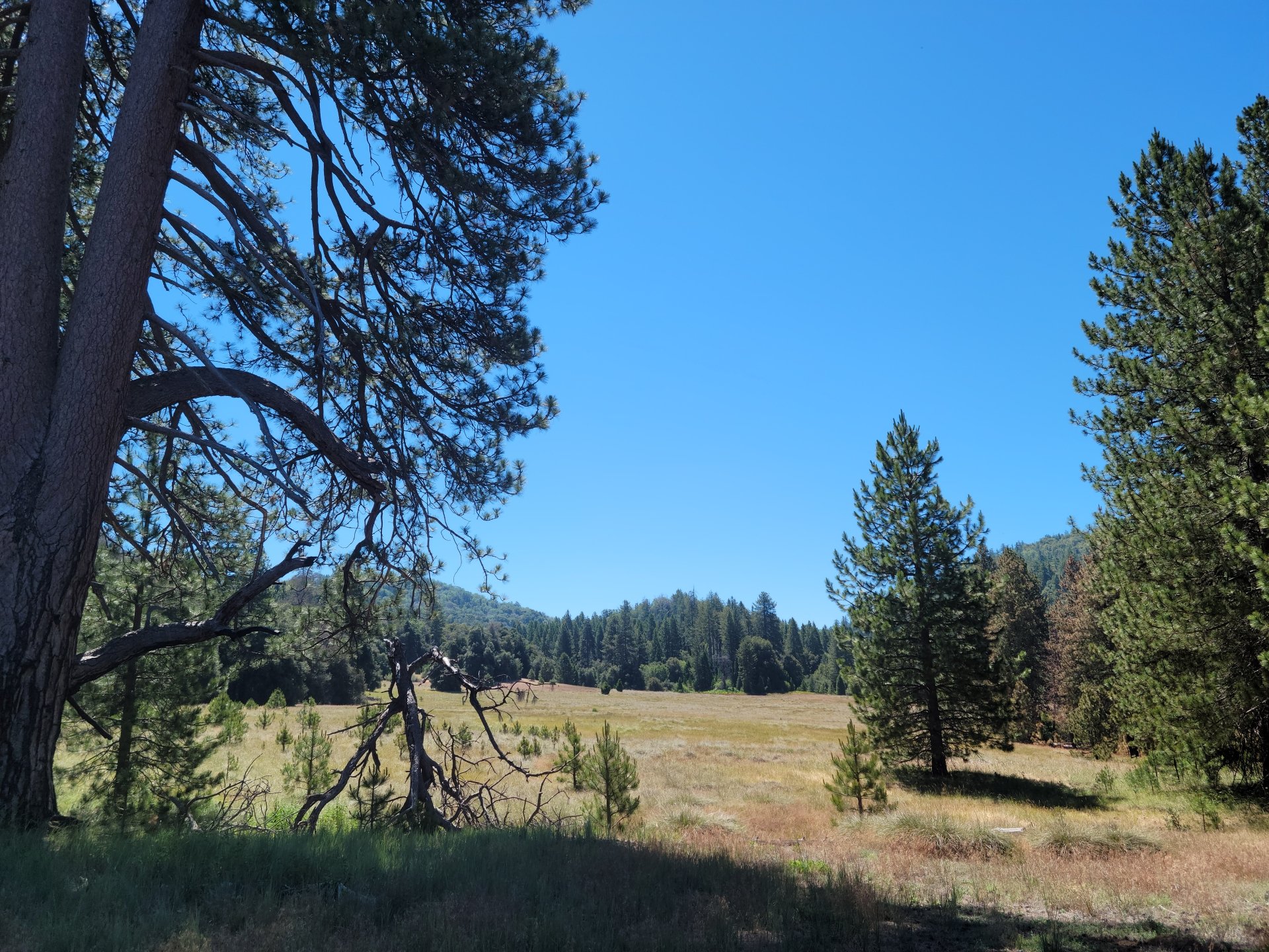 Palomar Mountain Hiking Trip in July - Doane Valley by Dr-Pen