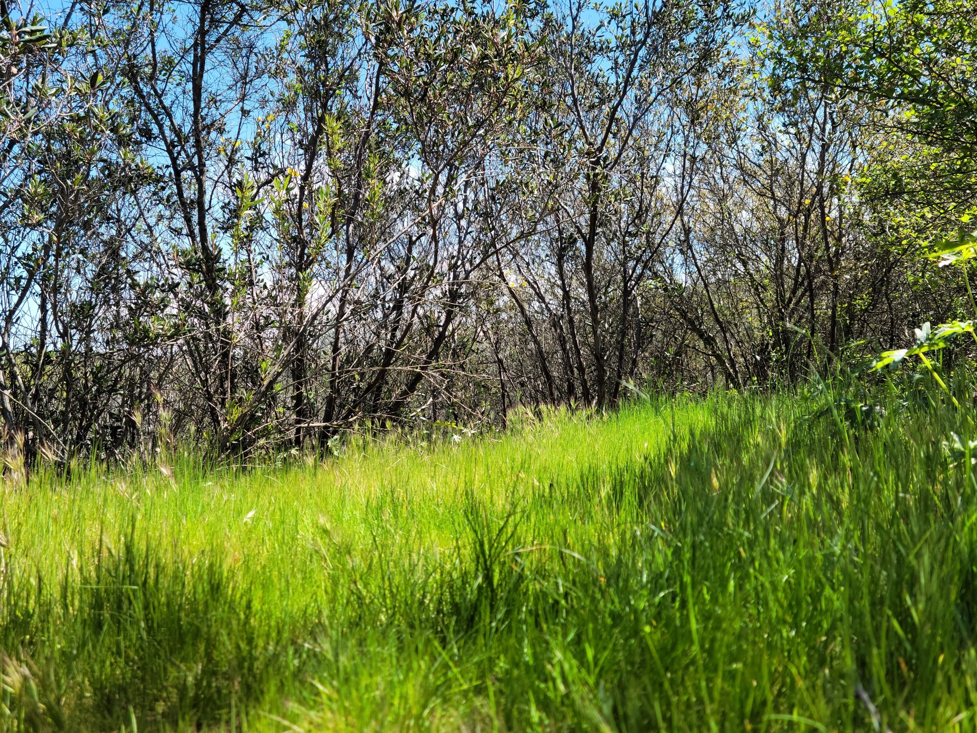 Hiking in Greater San Diego County Landscape Photography by Dr-Pen