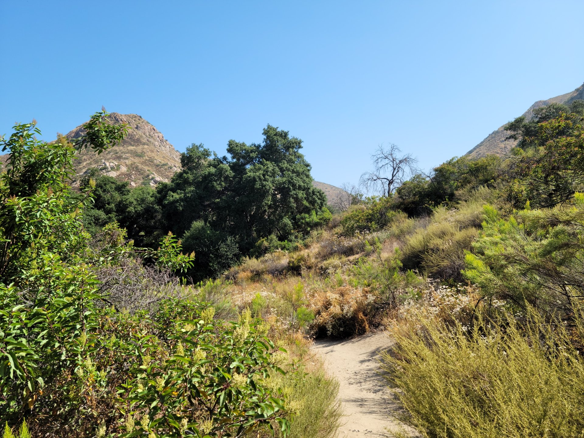 8K Ultra HD image of a hiking trail winding through lush greenery and rugged mountains in Southern California, showcasing natural landscapes and outdoor photography.