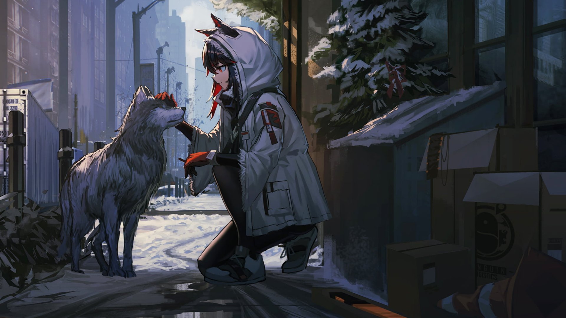 Download 8k Ultra HD Wallpaper