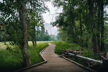 Yosemite National Park man made boardwalk HD Desktop Wallpaper | Background Image
