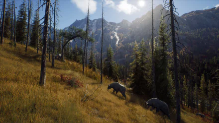 HD wallpaper from the video game Way of the Hunter featuring a scenic forest landscape with bears and mountainous backdrop.