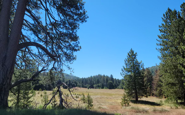  Palomar Mountain Hiking Trip in July - Doane Valley