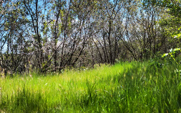  Hiking in Greater San Diego County Landscape Photography