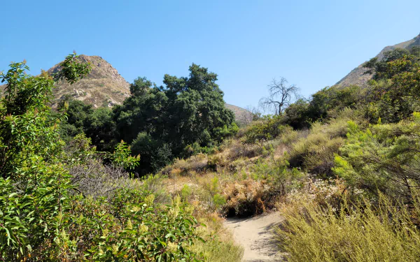  Hiking in Greater San Diego County Landscape Photography